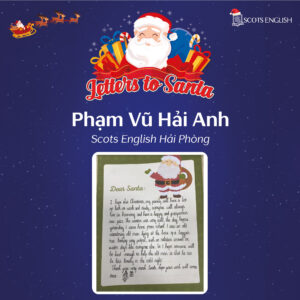 Pham Vu Hai Anh